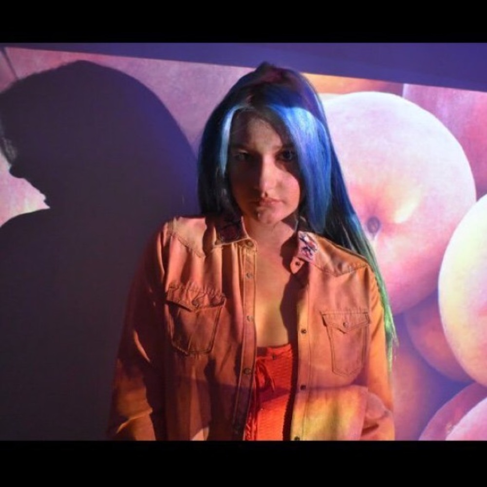 Custom made baby pink suede appliqué button up